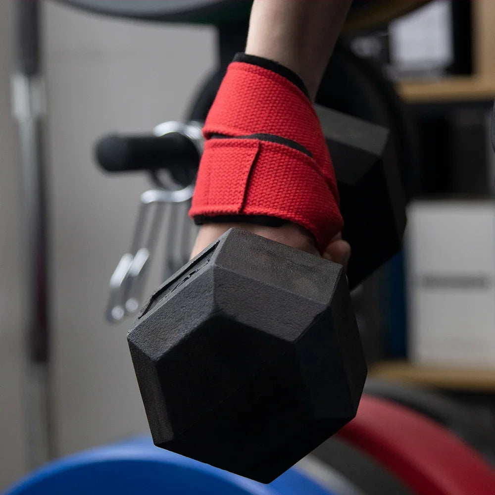 Padded Figure Deadlift Weight Lifting Gym Fitness
